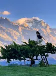 Boye Homestay - Mountain View