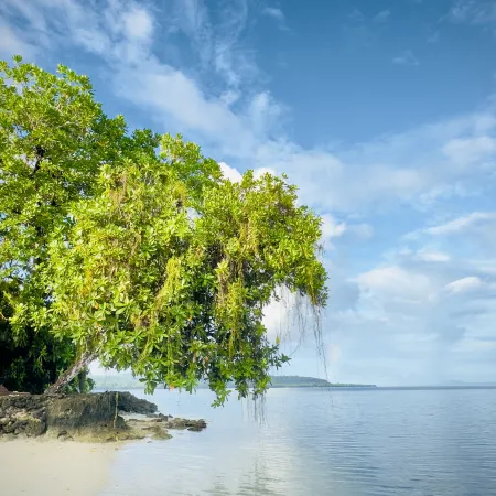 Ratua Private Island Resort