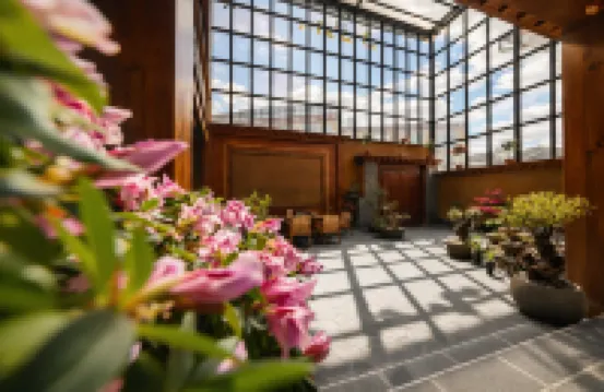 The Snow Realm · Petit Tusi Tibetan Boutique Lodge (Dukezong Ancient Town, Shangri-La)