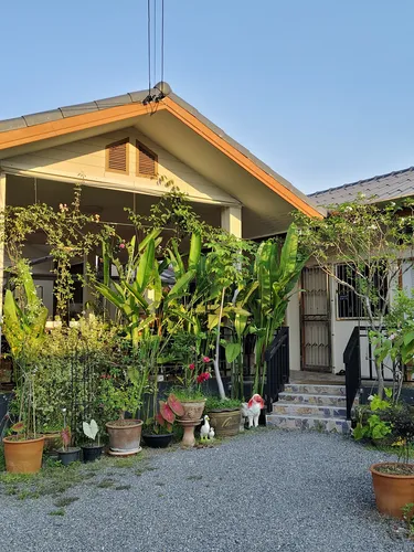 รูปภาพของบ้านรักสงบกลางเวียง