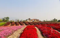 全朵花園酒店（撫仙湖廣龍小鎮店）