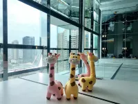 Louis Hotel Chengdu - Family