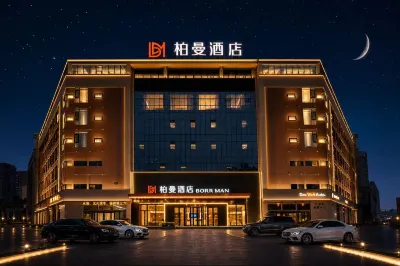 Borrman Hotel (Leshan High-Speed Railway Station Wanda Plaza) Hotels in Leshan