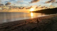 Palm Beach Resort & Spa - Beach