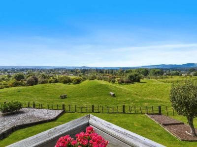 Aww Sheeps-Uninterrupted Panoramic View with Spa