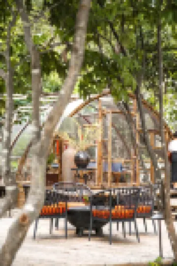 原野之上·原野之居