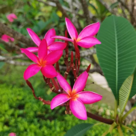 Sunshine Scenic Apartment (Hai De Gushi)