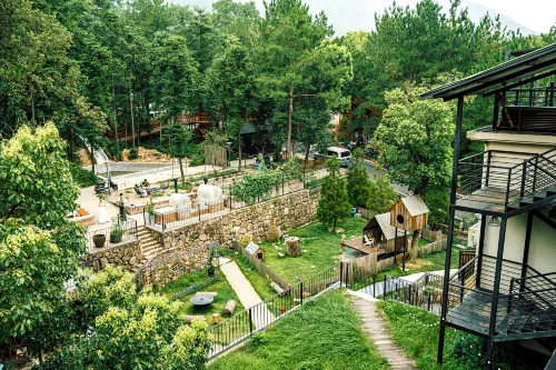 Duck Farm · The Lodge In Woods