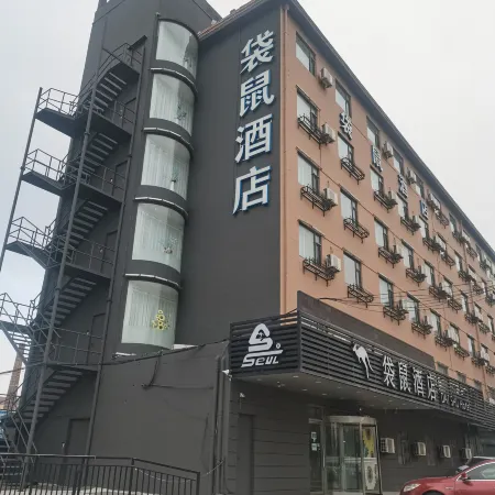 Kangaroo Hotel (Dalian Zhoushuizi Airport)