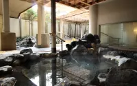 Hanabishi Hotel - Hot Springs