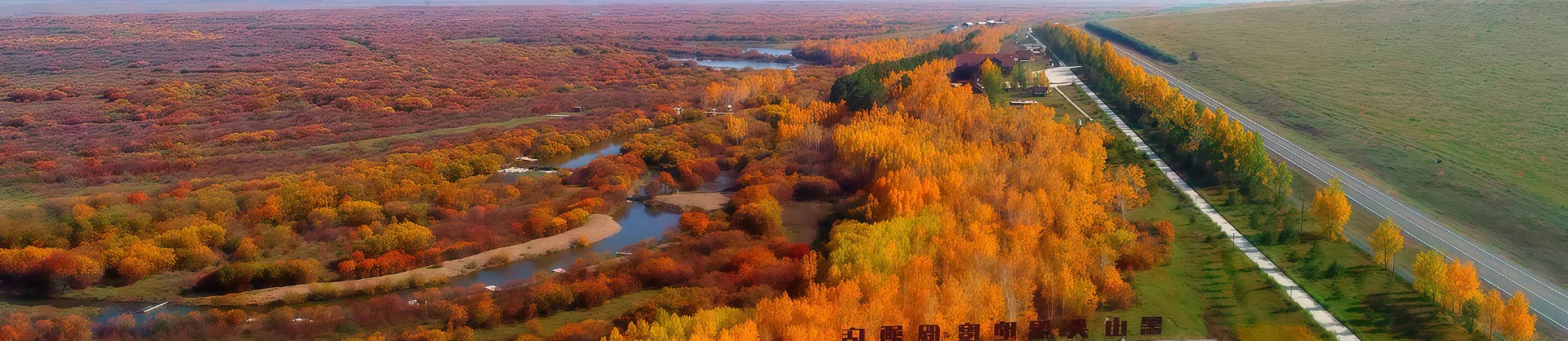 Scenic Hotels