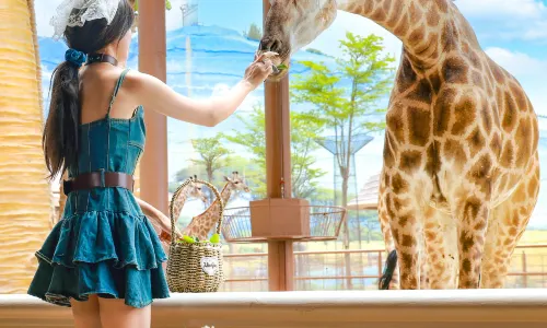 Oleborg Giraffe Manor Hotel