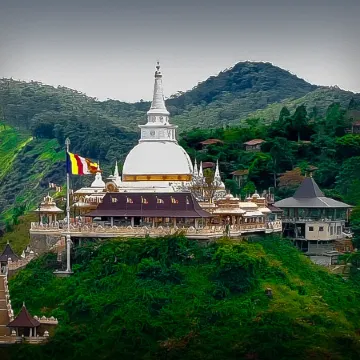 Ella Nature Life Guest and Restaurant