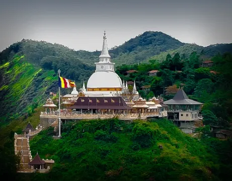 Ella Nature Life Guest and Restaurant