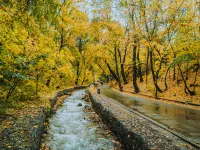 Arch Hostel Hotels in Almaty