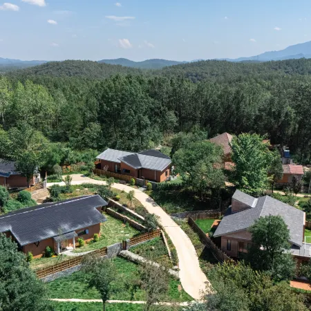 Zizai Courtyard · Persimmon Homestay