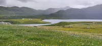 Yunting Oxygen-Rich Hotel - Mountain view