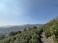 Tingtao Garden (Western Mountain Piao Miao Peak) - 마운틴 뷰