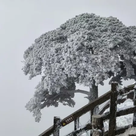 Tianzhushan Mountain Villa