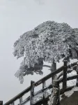 Tianzhushan Mountain Villa - Bergblick