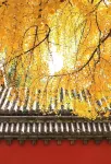 Dengfeng Shangxi Hotel (Dayu City) - Mountain view