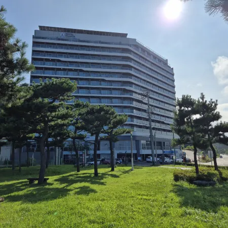 Diamer Hotel Yangyang By Stayneo 