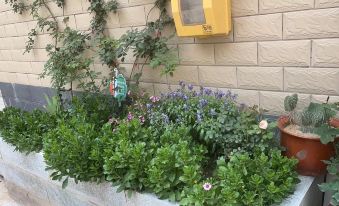 Dengni Xiaozhu Homestay