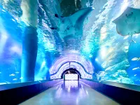 Shinagawa Prince Hotel Hotels near Womb Tokyo