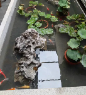 江園·老街裏精品古建民宿（黃山屯溪老街黎陽水街店）