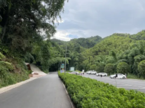 蜀南竹海忘憂雅居客棧