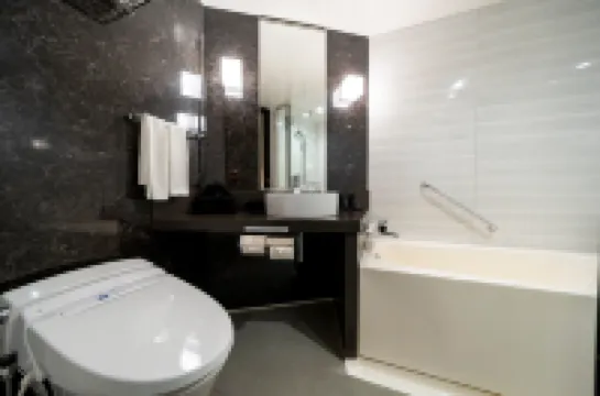 Koko Hotel Premier Nihonbashi Hamacho