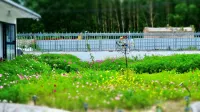 Zhaosu Windy Homestay - parcheggio