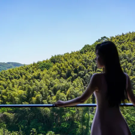 WYNDHAM GRAND PLAZA ROYALE HOT SPRINGS RESORT LIYANG