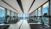 SEYA Panoramic Hotel - Chongqing Raffles Plaza Jiefangbei（Managed by SEYA GROUP） - Gym