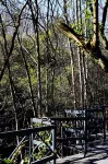 Yifeng Homestay Hotels near Nanling National Forest Park