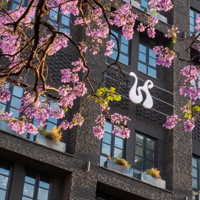Hyde Johannesburg Rosebank Hotels near Everard Read Gallery
