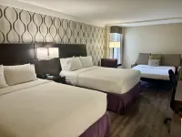 Holiday Inn TORONTO INTERNATIONAL AIRPORT by IHG Hotel a Toronto