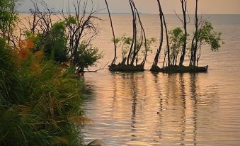 Yibo·Miyang | Holiday Villa Tuye · Seaview Resort Homestay