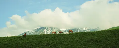 INWARD PEAK·Object space Byond·Vacation Homestay (Hemu Scenic Area Branch) Hotels near Hemu Scenic Area