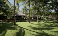 Dolphin Island Fiji