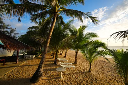 Carabao Island Beach Camp Отели в г. Сан-Хосе