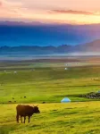 Jiyu Boutique Stay (Narat Scenic Spot) - โรแมนติก