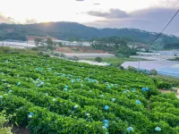 Đà Lạt Thiên Vương Homestay Các khách sạn ở Lạc Dương