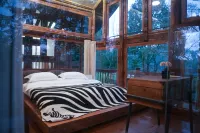 Sacred Mountain Retreat – Fanjingshan
