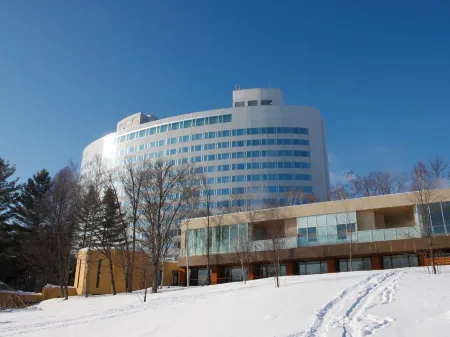 Shin Furano Prince Hotel