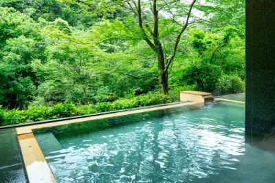 スパ・大浴場 星野リゾート 界 箱根の写真