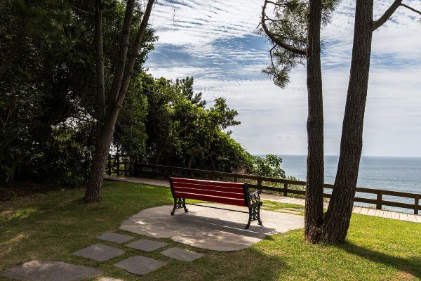 롯데호텔 제주_2