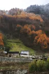 Tipsy Panda Mountain spring Villa - Mountain view
