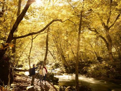 ホテル周辺 星野リゾート 奥入瀬渓流ホテルの写真