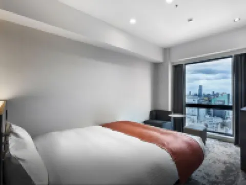 DEL style Osaka-Shinsaibashi by Daiwa Roynet Hotel Hotels in Osaka